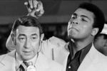 Cosell_crop_150x100