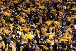 Steelers_crop_150x100