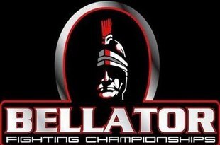 Bellator-fighting3_crop_310x205