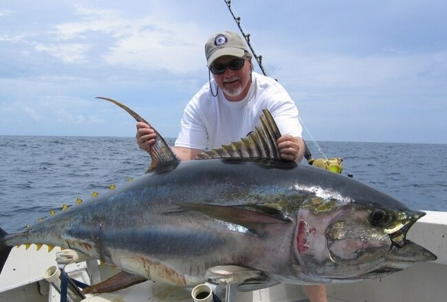 Tuna-fishing-techniques_crop_650x440