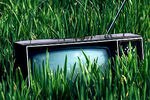 Television_original_crop_150x100