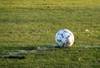 Soccer-football_crop_100x68