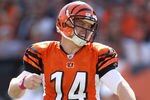 CINCINNATI, OH - OCTOBER 16:  Andy Dalton #14 of the Cincinnati Bengals celebrates after a touchdown during the NFL game against the Indianapolis Colts at Paul Brown Stadium on October 16, 2011 in Cincinnati, Ohio. The Bengals won 27-17.  (Photo by Andy Lyons/Getty Images)