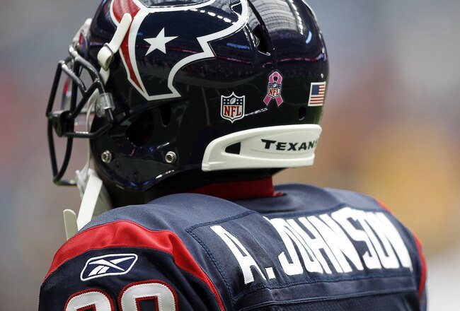 HOUSTON - OCTOBER 02:  Wide receiver Andre Johnson #80  of the Houston Texans displays a Breast Cancer Awareness Pink Ribbon on his helmet at Reliant Stadium on October 2, 2011 in Houston, Texas.  (Photo by Bob Levey/Getty Images)