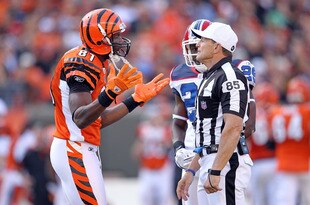 CINCINNATI - NOVEMBER 21:  Terrell Owens #81 of the Cincinnati Bengals pleads his case with game offical Ed Hochuli during the Bengals 49-31 loss to the Buffalo Bills at Paul Brown Stadium on November 21, 2010 in Cincinnati, Ohio.  (Photo by Andy Lyons/Getty Images)