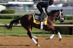 LOUISVILLE, KY - MAY 05:  Kentucky Derby entrant Uncle Mo with exercise rider Hector Ramos works during morning workouts in preparation for the 137th running of the Kentucky Derby on May 5, 2011 at Churchill Downs in Louisville, Kentucky.  (Photo by Jamie Squire/Getty Images)