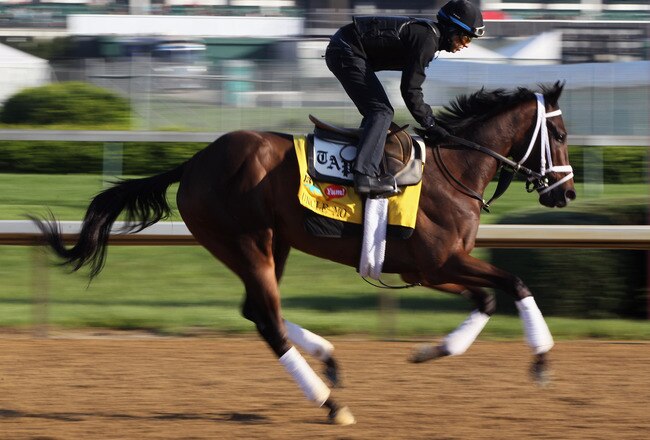 LOUISVILLE, KY - MAY 05:  Kentucky Derby entrant Uncle Mo with exercise rider Hector Ramos works during morning workouts in preparation for the 137th running of the Kentucky Derby on May 5, 2011 at Churchill Downs in Louisville, Kentucky.  (Photo by Jamie Squire/Getty Images)