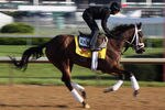LOUISVILLE, KY - MAY 05:  Kentucky Derby entrant Uncle Mo with exercise rider Hector Ramos works during morning workouts in preparation for the 137th running of the Kentucky Derby on May 5, 2011 at Churchill Downs in Louisville, Kentucky.  (Photo by Jamie Squire/Getty Images)