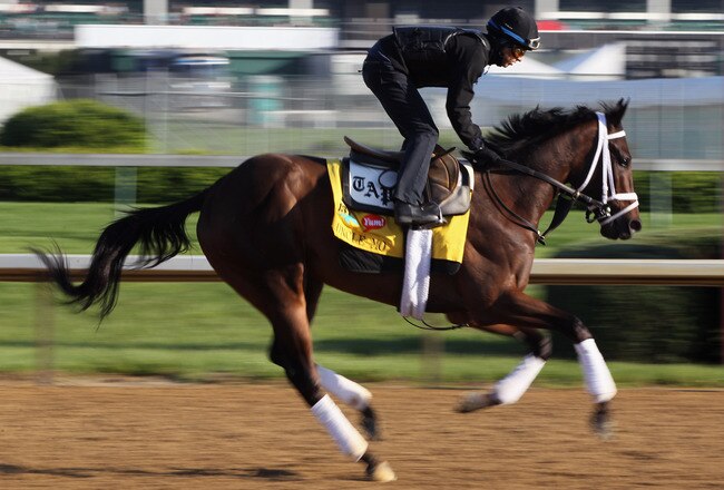 LOUISVILLE, KY - MAY 05:  Kentucky Derby entrant Uncle Mo with exercise rider Hector Ramos works during morning workouts in preparation for the 137th running of the Kentucky Derby on May 5, 2011 at Churchill Downs in Louisville, Kentucky.  (Photo by Jamie Squire/Getty Images)