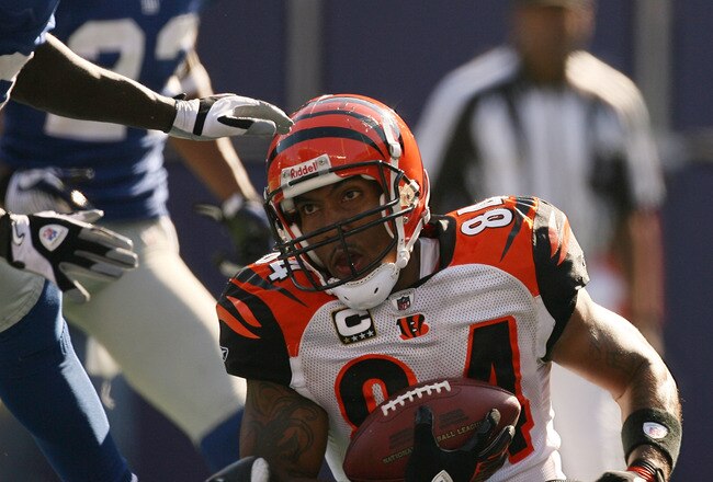EAST RUTHERFORD, NJ - SEPTEMBER 21:  T.J. Houshmandzadeh #84 of the Cincinnati Bengals catches the ball for a touchdown against the New York Giants on September 21, 2008 at Giants Stadium in East Rutherford, New Jersey. The Giants defeated the Bengals 26-23 in overtime.  (Photo by Elsa/Getty Images)