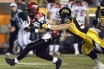 Calgaryhamilton_crop_150x100