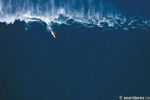 200705_afwlrules007_crop_150x100