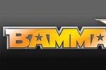 Bamma-7_crop_150x100
