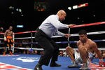 LAS VEGAS, NV - SEPTEMBER 17:  (C) Referee Joe Cortez calls the fight after (L) Victor Ortiz is knocked out by Floyd Mayweather Jr. during their WBC welterweight title fight at the MGM Grand Garden Arena on September 17, 2011 in Las Vegas, Nevada.  (Photo by Al Bello/Getty Images)