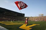 Ohiostaevs