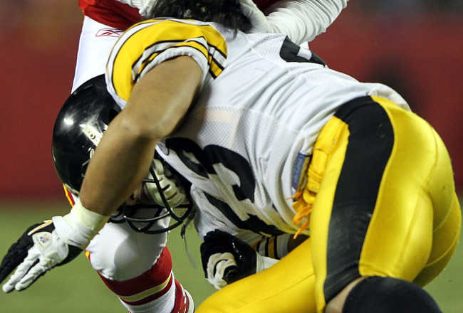 troy polamalu head injury