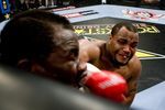Cormier_crop_150x100