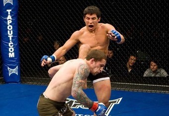 UFC 140 Results: The Flyweights Are Coming to the UFC