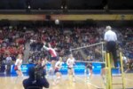 Volley_crop_150x100