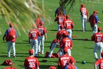 Springtraining_crop_150x100