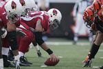 CINCINNATI - NOVEMBER 18:  Al Johnson #50 of the Arizona Cardinals crouches into position at the line of scrimmage during the NFL game against the Cincinnati Bengals at Paul Brown Stadium on November 18, 2007 in Cincinnati, Ohio. (Photo by Andy Lyons/Getty Images)