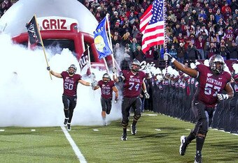 Grizz_original_crop_340x234