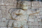 Mayantiger_original_crop_150x100