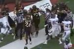 Hawaiibowl_crop_150x100