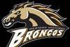 Westernmichiganlogo_crop_100x68