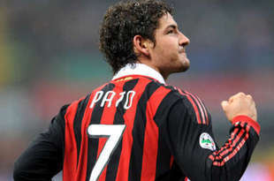 Pato_crop_310x205