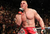 Lesnar_original_crop_100x68