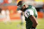 MIAMI GARDENS, FL - JANUARY 01:  Plaxico Burress #17 of the New York Jets looks on during a game against the Miami Dolphins at Sun Life Stadium on January 1, 2012 in Miami Gardens, Florida.  (Photo by Mike Ehrmann/Getty Images)