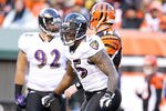 CINCINNATI, OH - JANUARY 01:  Terrell Suggs #55 of the Baltimore Ravens celebrates a defensive play during the NFL game against  the Cincinnati Bengals at Paul Brown Stadium on January 1, 2012 in Cincinnati, Ohio.  (Photo by Andy Lyons/Getty Images)