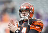 CINCINNATI, OH - JANUARY 01:  Andy Dalton #14 of the Cincinnati Bengals warms up before the game against the Baltimore Ravens at Paul Brown Stadium on January 1, 2012 in Cincinnati, Ohio.  (Photo by John Grieshop/Getty Images)