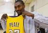 Worldpeace_display_image_crop_100x68