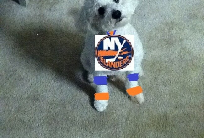 Sammytheislander_crop_650x440