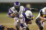 Yeldon_crop_150x100