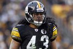 PITTSBURGH, PA - DECEMBER 24:  Troy Polamalu #43 of the Pittsburgh Steelers looks on against the St. Louis Rams during the game on December 24, 2011 at Heinz Field in Pittsburgh, Pennsylvania.  The Steelers won 27-0.  (Photo by Justin K. Aller/Getty Images)