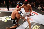 Lukerockholdkeithjardine_crop_150x100
