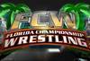 Fcw2_crop_100x68