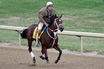 LOUISVILLE, KY - NOVEMBER 03:  Trainer Larry Jones gallops Breeders' Cup Classic hopeful Havre de Grace over the track during morning workouts for the upcoming Breeders' Cup World Championships at  Churchill Downs on November 3, 2011 in Louisville, Kentucky.  (Photo by Rob Carr/Getty Images)