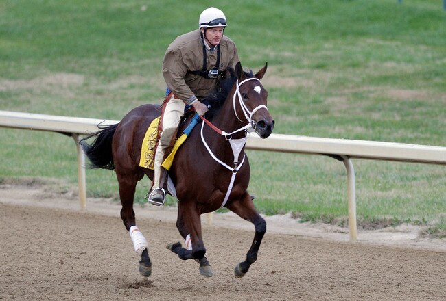 LOUISVILLE, KY - NOVEMBER 03:  Trainer Larry Jones gallops Breeders' Cup Classic hopeful Havre de Grace over the track during morning workouts for the upcoming Breeders' Cup World Championships at  Churchill Downs on November 3, 2011 in Louisville, Kentucky.  (Photo by Rob Carr/Getty Images)