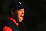 THOUSAND OAKS, CA - DECEMBER 04:  Tiger Woods celebrates his birdie putt on the 18th green to win the Chevron World Challenge at Sherwood Country Club on December 4, 2011 in Thousand Oaks, California.  (Photo by Scott Halleran/Getty Images)