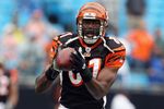 CHARLOTTE, NC - SEPTEMBER 26:  Terrell Owens #81 of the Cincinnati Bengals against the Carolina Panthers during their game at Bank of America Stadium on September 26, 2010 in Charlotte, North Carolina.  (Photo by Streeter Lecka/Getty Images)