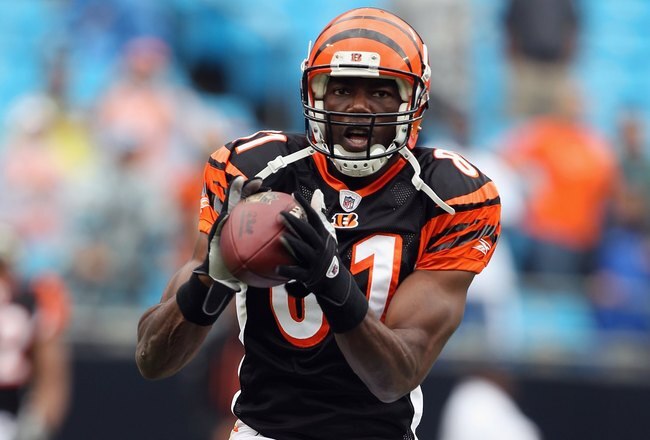 CHARLOTTE, NC - SEPTEMBER 26:  Terrell Owens #81 of the Cincinnati Bengals against the Carolina Panthers during their game at Bank of America Stadium on September 26, 2010 in Charlotte, North Carolina.  (Photo by Streeter Lecka/Getty Images)