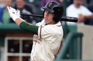 Yelich_crop_310x205