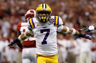Honeybadger_crop_310x205
