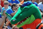 GAINESVILLE, FL - APRIL 9: The Florida Gators mascot celebrates with fans during the Orange and Blue spring football game April 9, 2011 at Ben Hill Griffin Stadium in Gainesville, Florida.  (Photo by Al Messerschmidt/Getty Images)