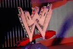 UNCASVILLE, CT - AUGUST 3:  Actor Jeremy Piven guest hosts WWE's 'Monday Night Raw' at Mohegan Sun on August 3, 2009 in Uncasville, Connecticut.  (Photo by Jim Rogash/Getty Images)