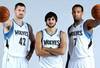 Nba_g_timberwolves1x_576_crop_100x68